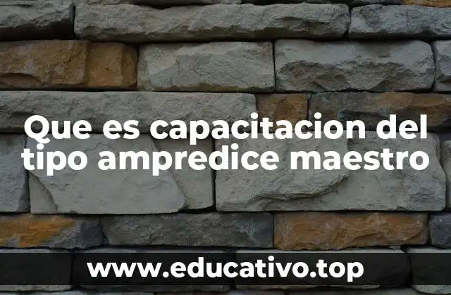 Que es capacitacion del tipo ampredice maestro