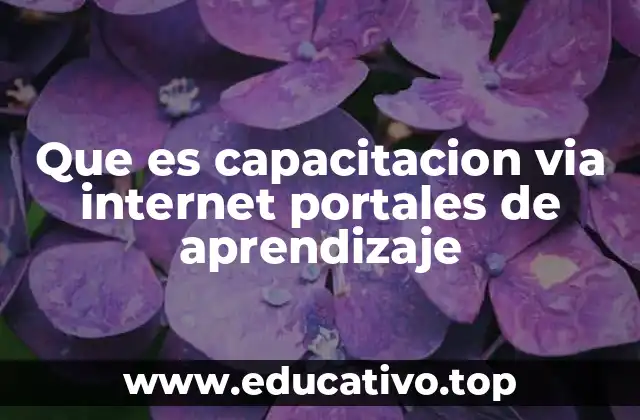 Que es capacitacion via internet portales de aprendizaje