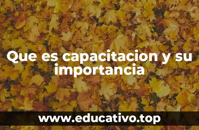Que es capacitacion y su importancia