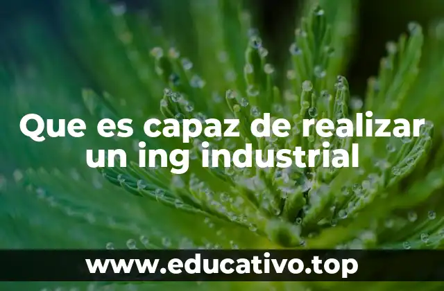 Que es capaz de realizar un ing industrial
