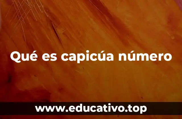 Qué es capicúa número
