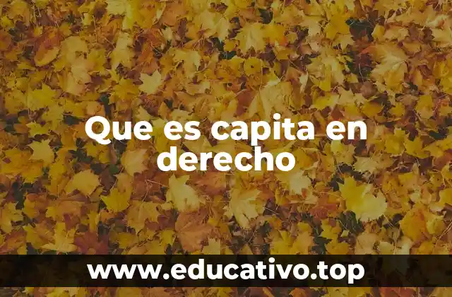 Que es capita en derecho