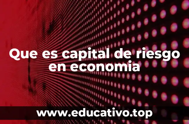 Que es capital de riesgo en economia