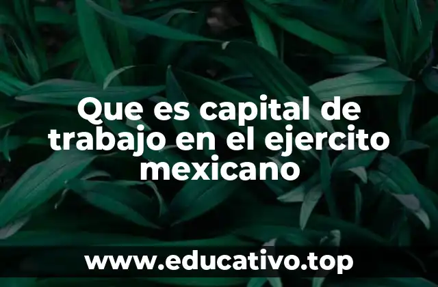 Que es capital de trabajo en el ejercito mexicano