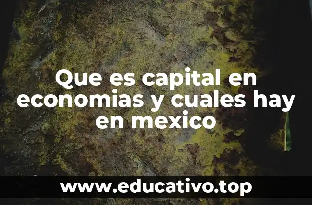 Que es capital en economias y cuales hay en mexico
