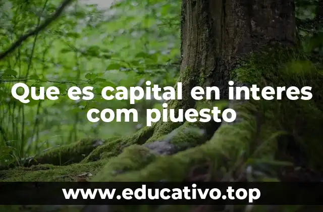 Cómo el capital evoluciona en el interés compuesto