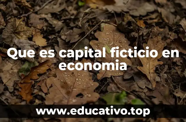 Que es capital ficticio en economia