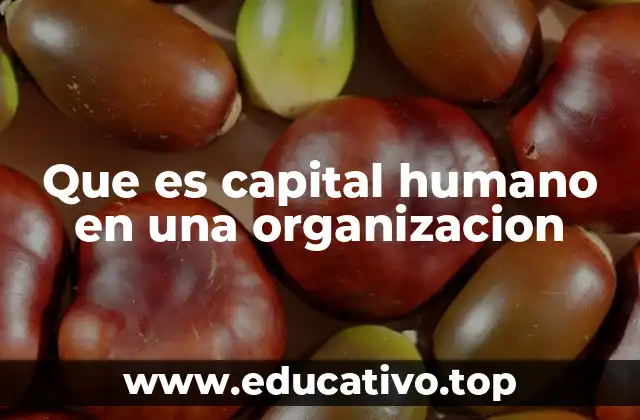Que es capital humano en una organizacion