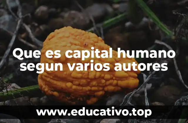 Que es capital humano segun varios autores