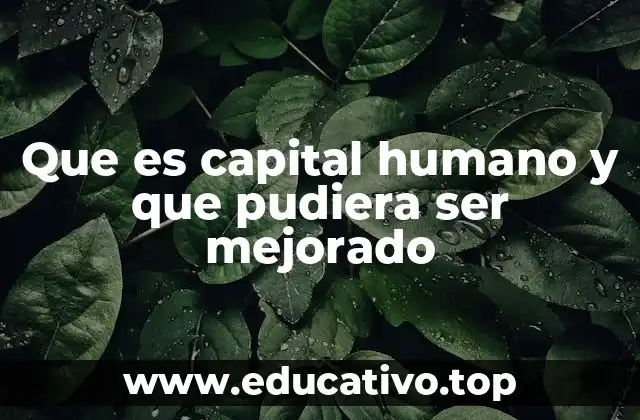 Que es capital humano y que pudiera ser mejorado