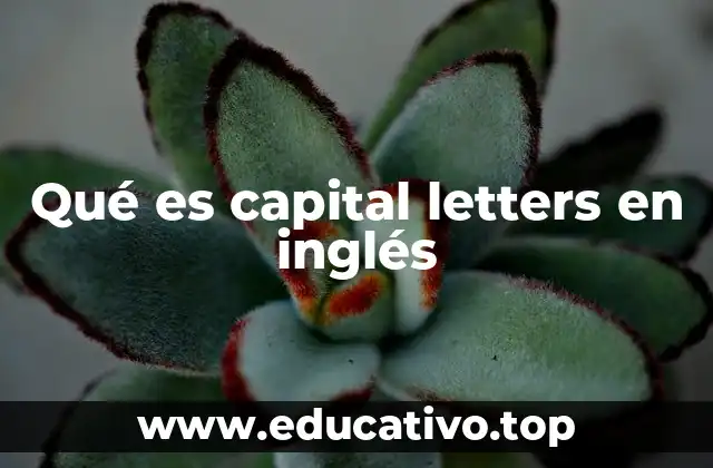 Qué es capital letters en inglés