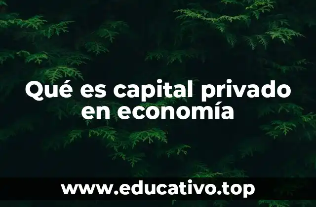 Qué es capital privado en economía