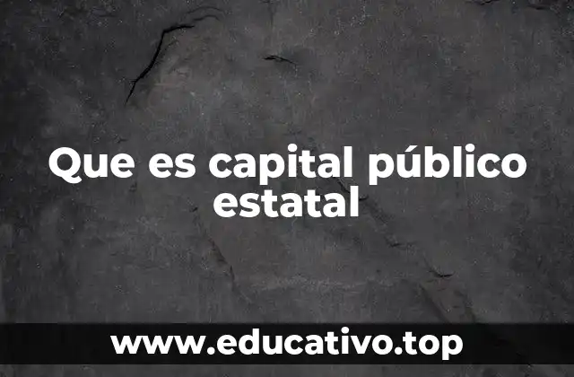 La relevancia del capital estatal en la economía