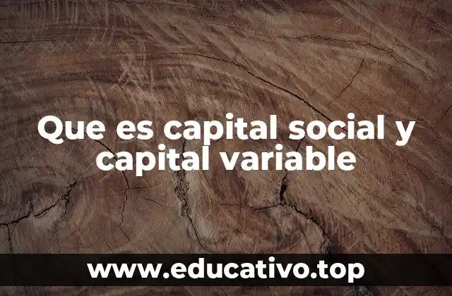 Que es capital social y capital variable