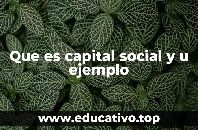 Que es capital social y u ejemplo