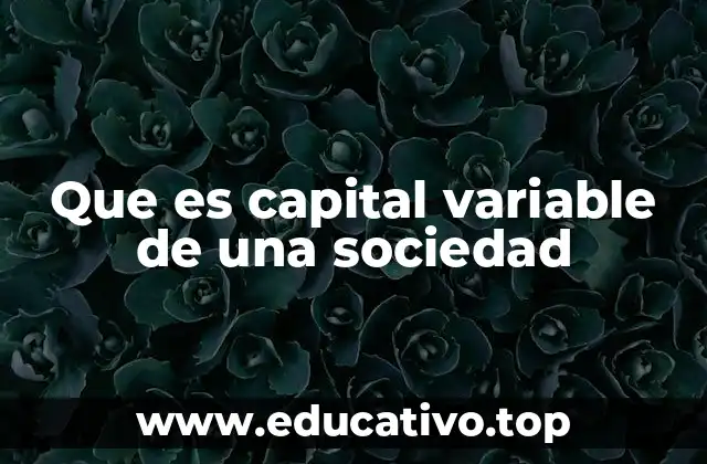 Que es capital variable de una sociedad