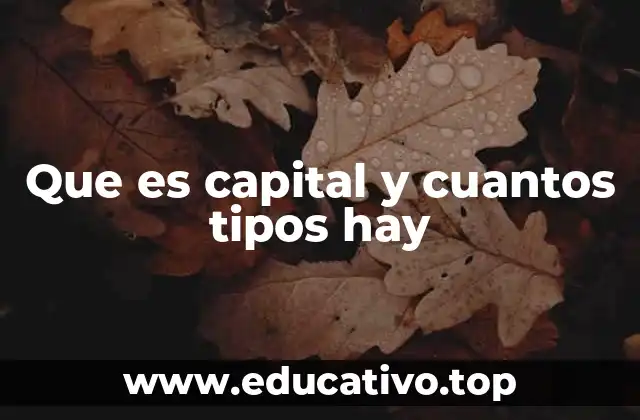 Que es capital y cuantos tipos hay