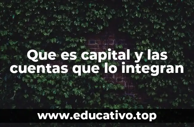 Que es capital y las cuentas que lo integran
