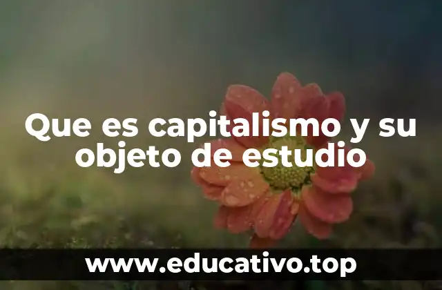 Que es capitalismo y su objeto de estudio
