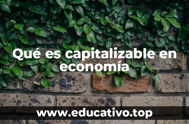 Qué es capitalizable en economía
