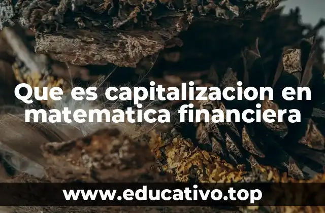Que es capitalizacion en matematica financiera