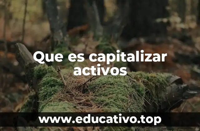 Que es capitalizar activos