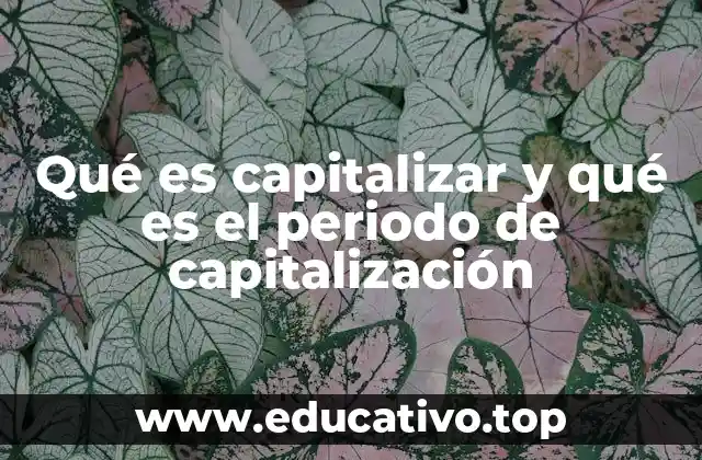 Qué es capitalizar y qué es el periodo de capitalización