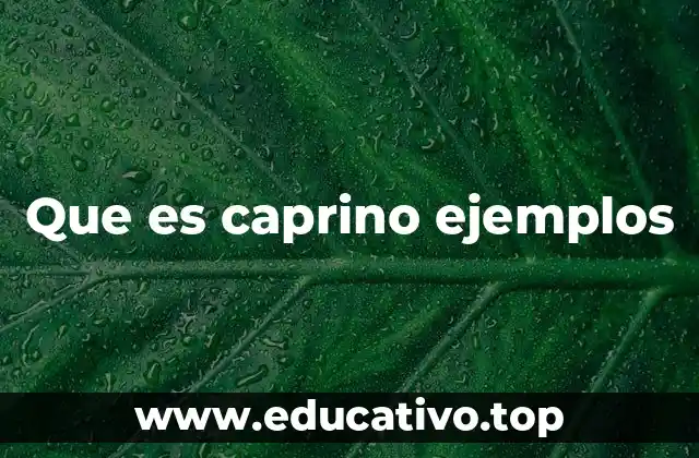 La importancia del sector caprino en la economía local