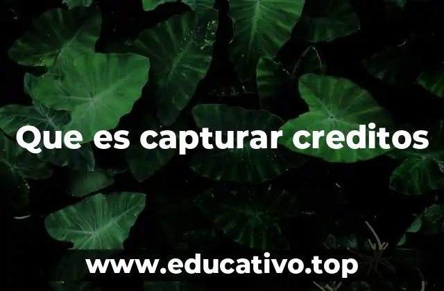 El proceso de aprovechamiento de oportunidades crediticias