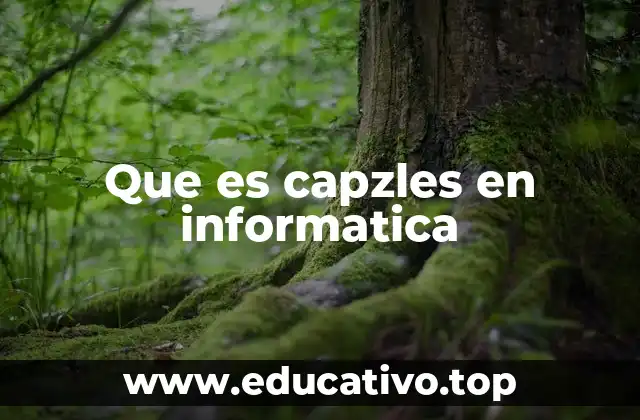 Que es capzles en informatica