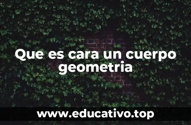 Que es cara un cuerpo geometria