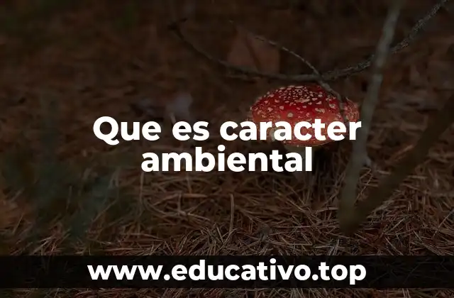 Que es caracter ambiental