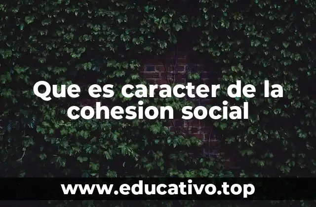 Que es caracter de la cohesion social