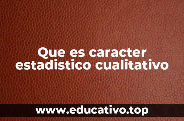 Que es caracter estadistico cualitativo