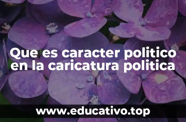 Que es caracter politico en la caricatura politica