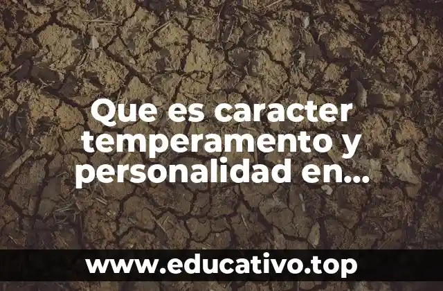 La diferencia entre temperamento y personalidad