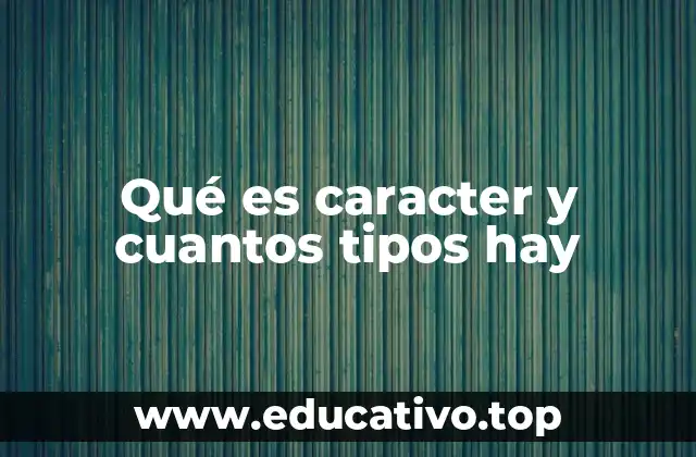 Qué es caracter y cuantos tipos hay