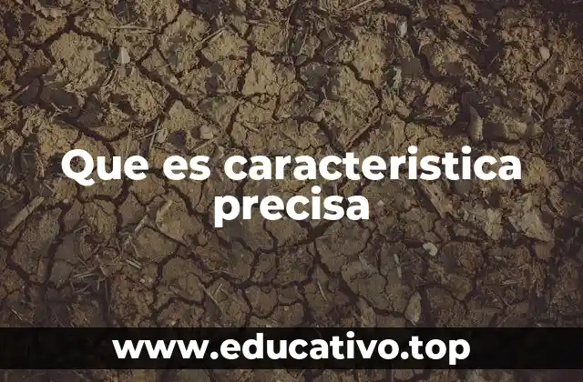 La importancia de la definición clara en la comunicación