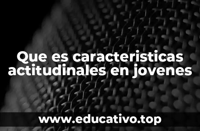 Que es caracteristicas actitudinales en jovenes
