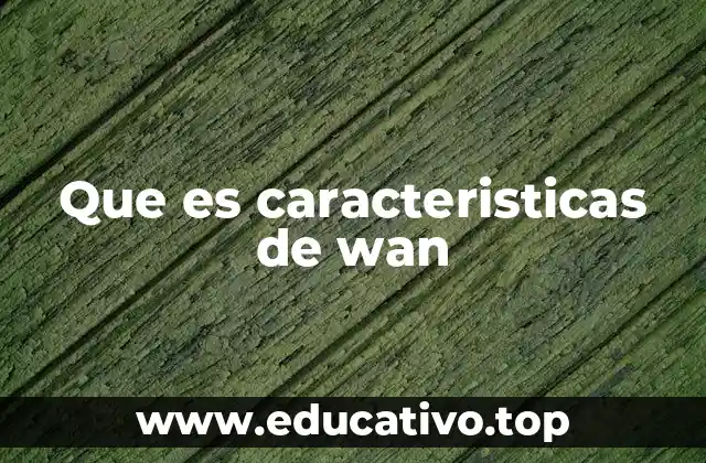 Que es caracteristicas de wan