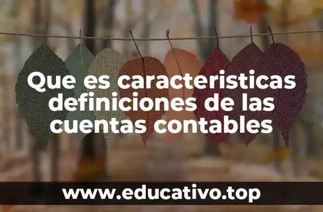 Que es caracteristicas definiciones de las cuentas contables