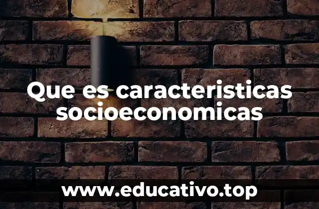 Que es caracteristicas socioeconomicas
