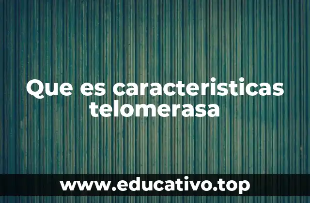 Que es caracteristicas telomerasa