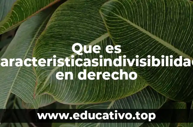 Que es caracteristicasindivisibilidad en derecho