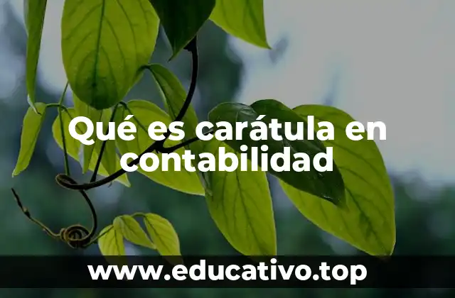 Qué es carátula en contabilidad