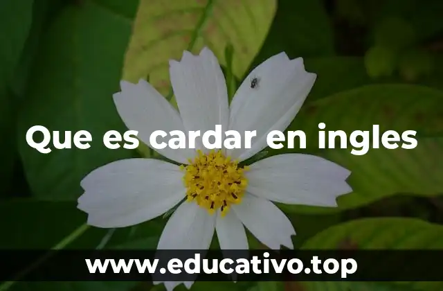 Que es cardar en ingles