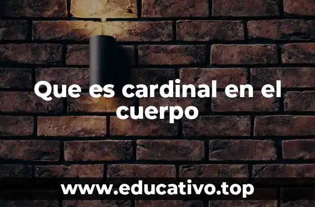 Que es cardinal en el cuerpo