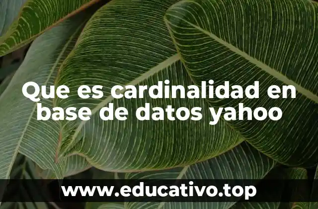 Que es cardinalidad en base de datos yahoo