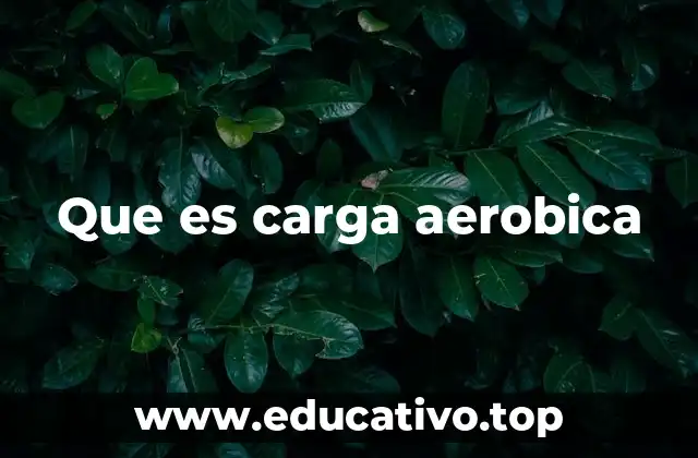 Que es carga aerobica