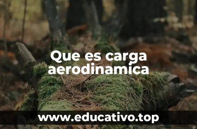 Que es carga aerodinamica